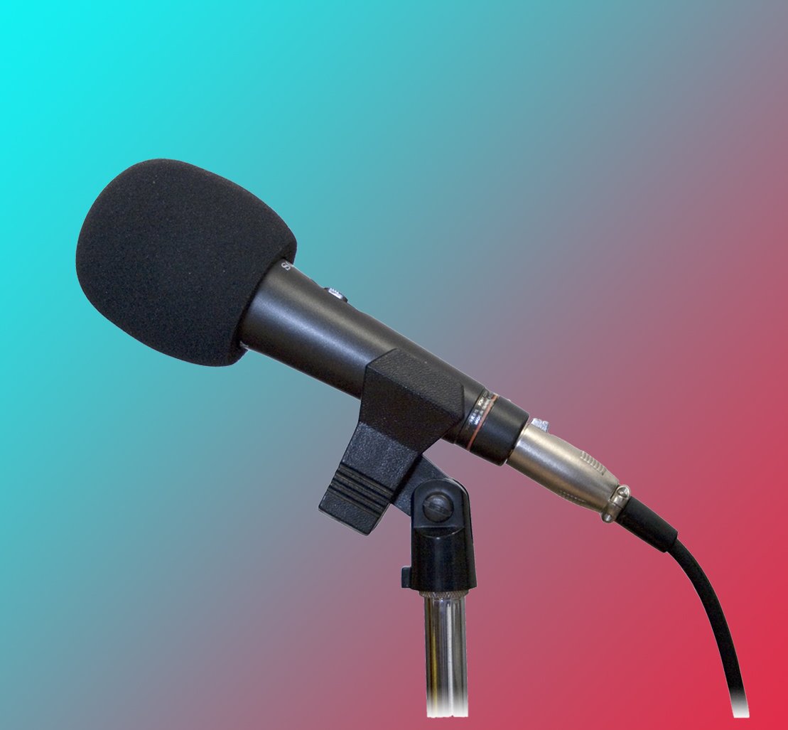 Mic